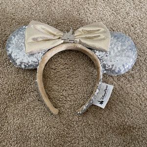Disney Park Cinderella Ears
